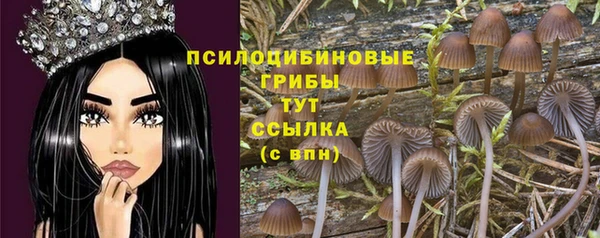 каннабис Абаза