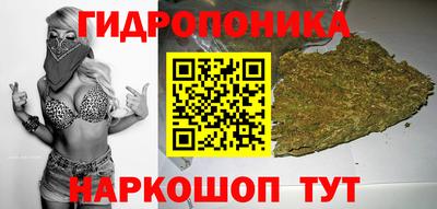 шишки Мариинск