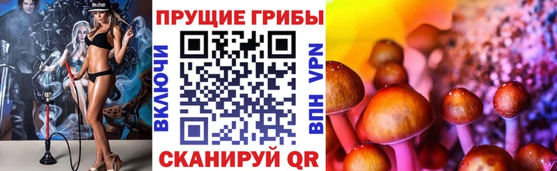 Псилоцибиновые грибы Psilocybine cubensis  нарко площадка формула  Ивантеевка 