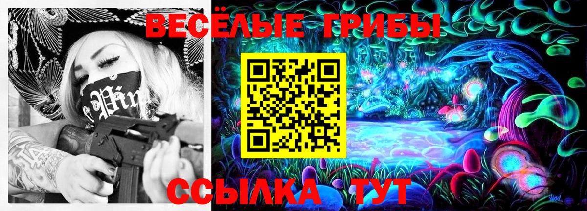 Галлюциногенные грибы прущие грибы Ивантеевка